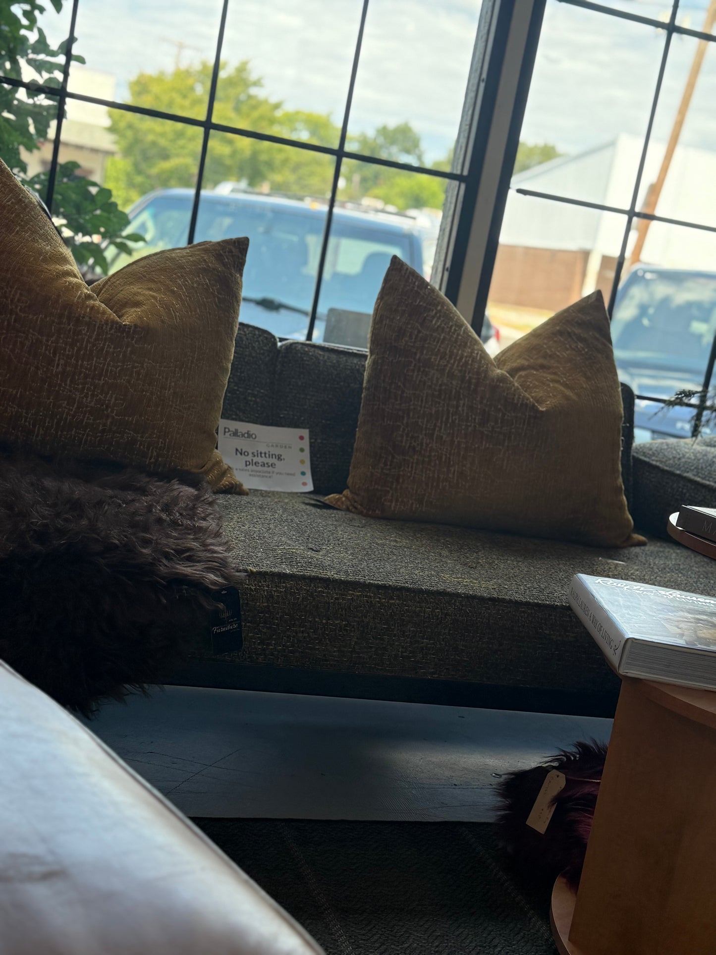 Gold Pillows