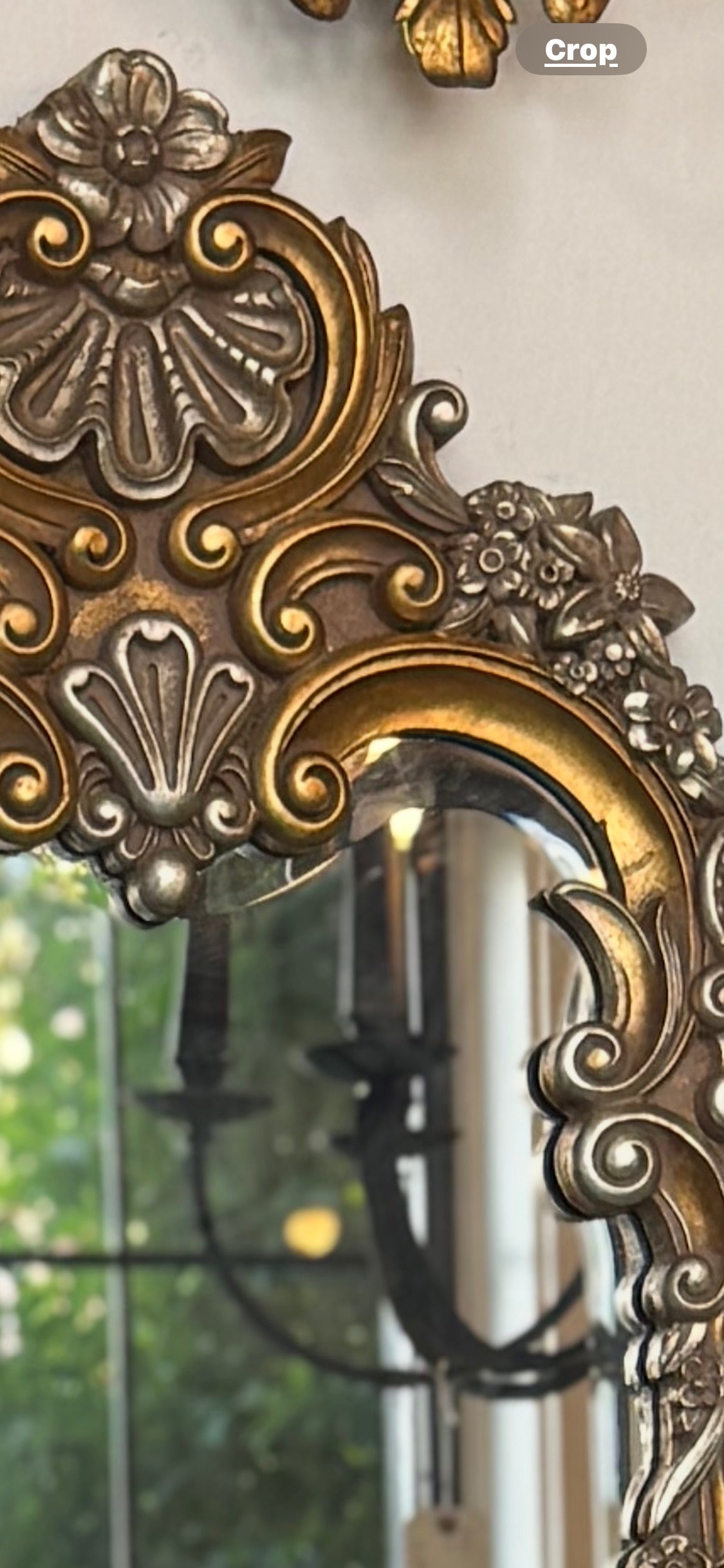 Ornate Long Mirror