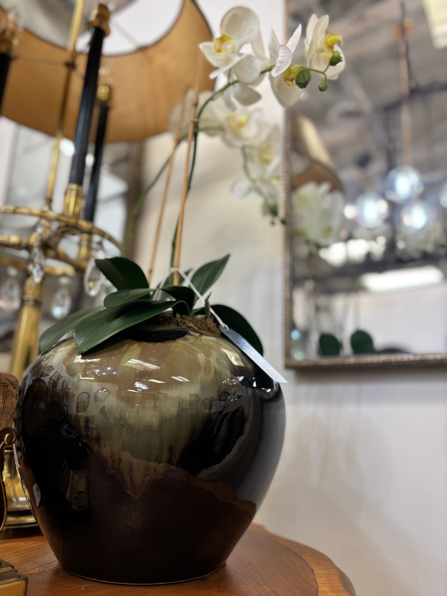 Orchid Plant in Marble Vase