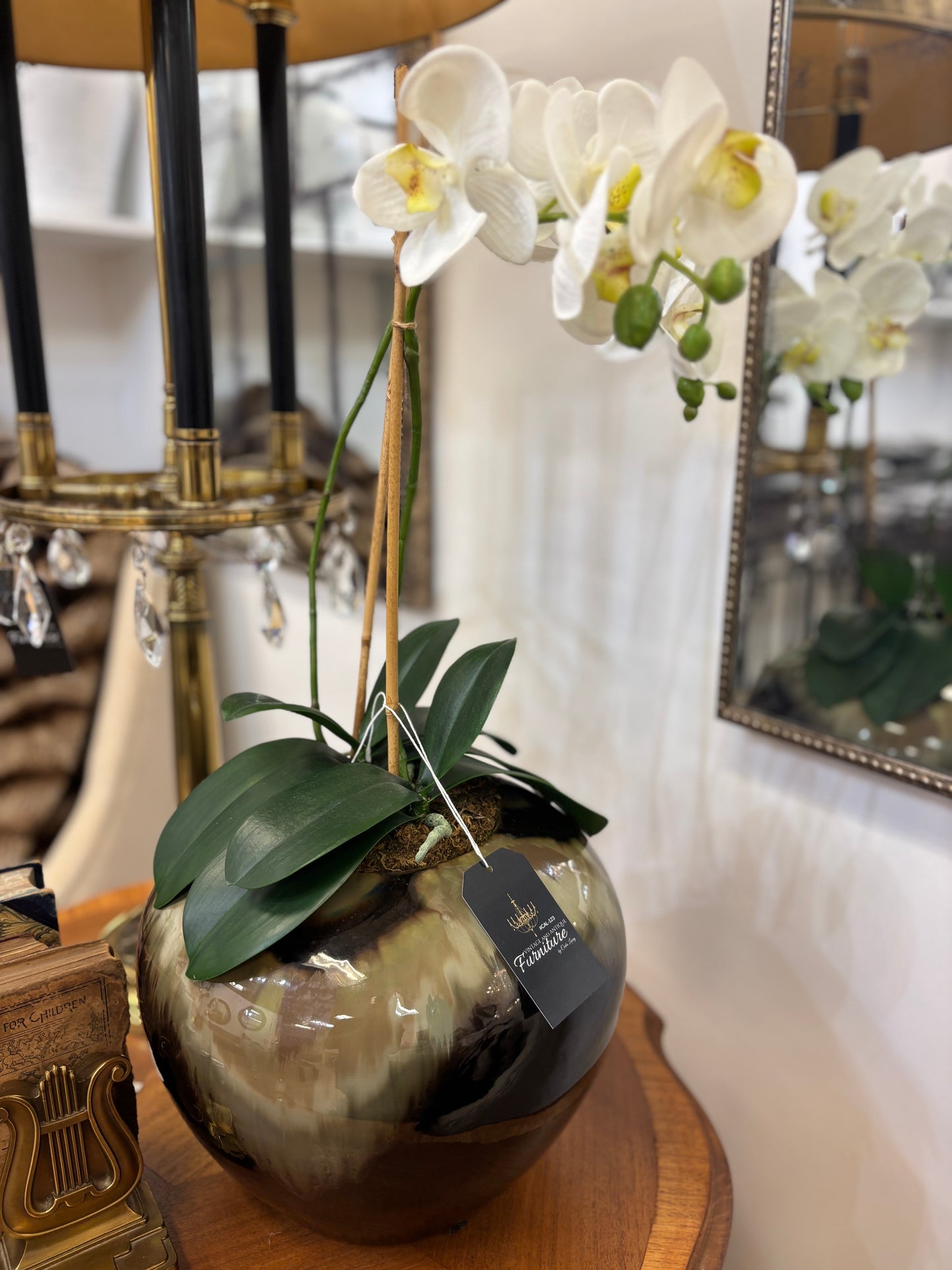 Orchid Plant in Marble Vase