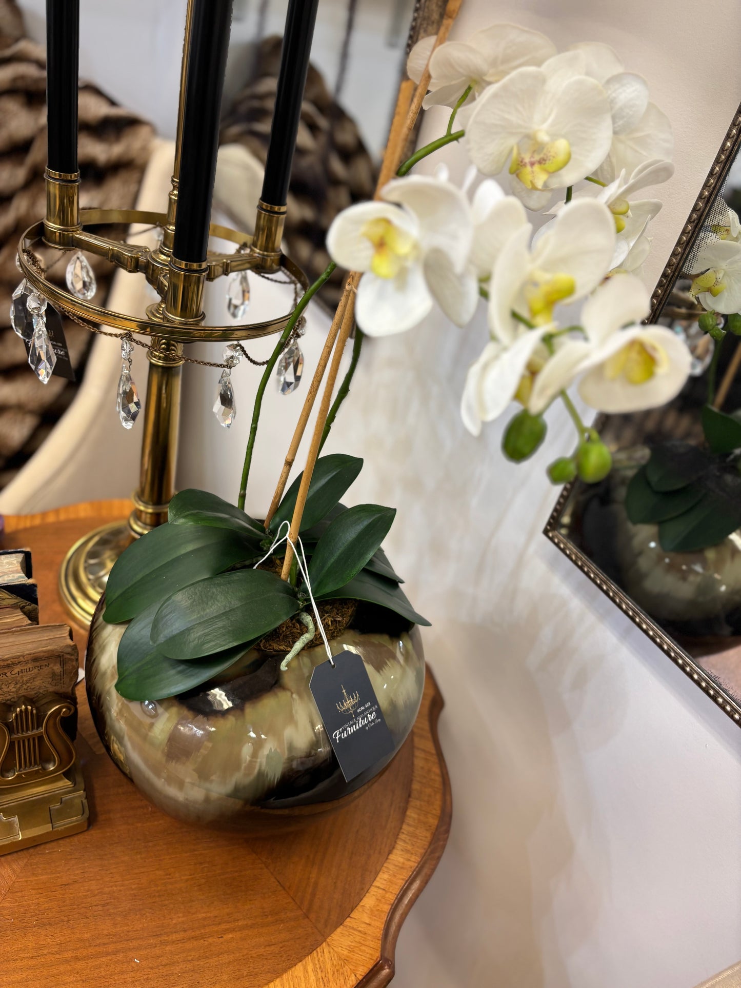 Orchid Plant in Marble Vase