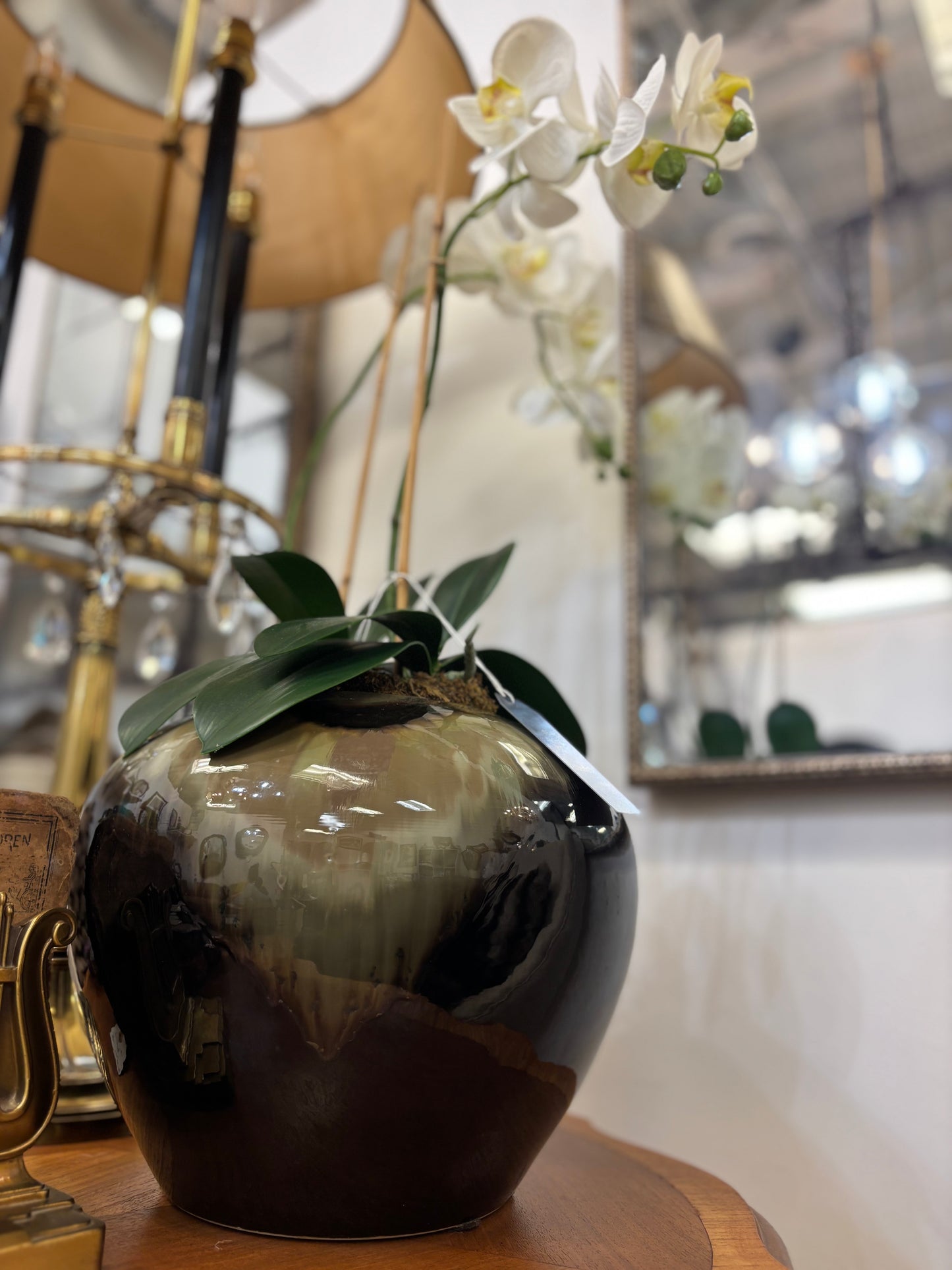 Orchid Plant in Marble Vase