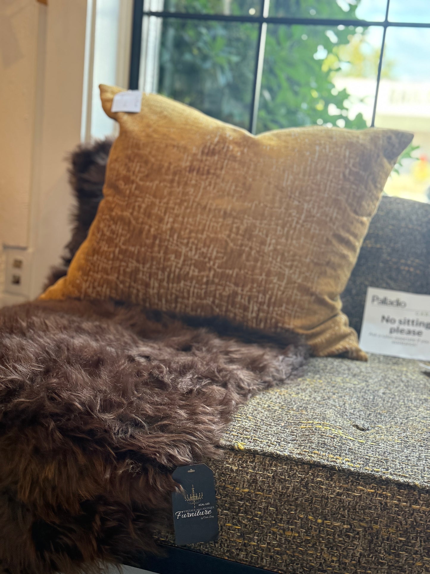 Gold Pillows