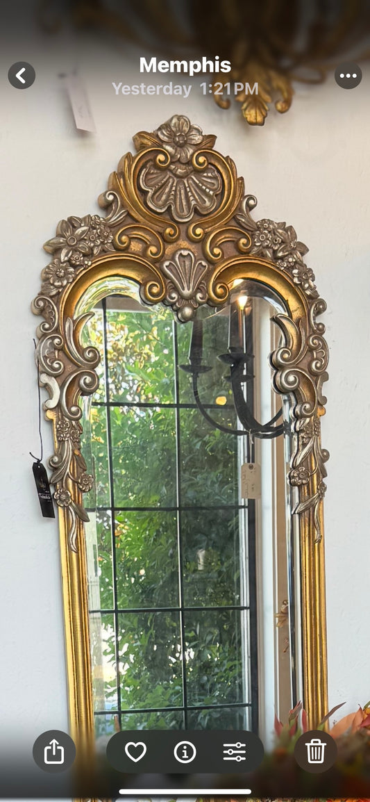 Ornate Long Mirror