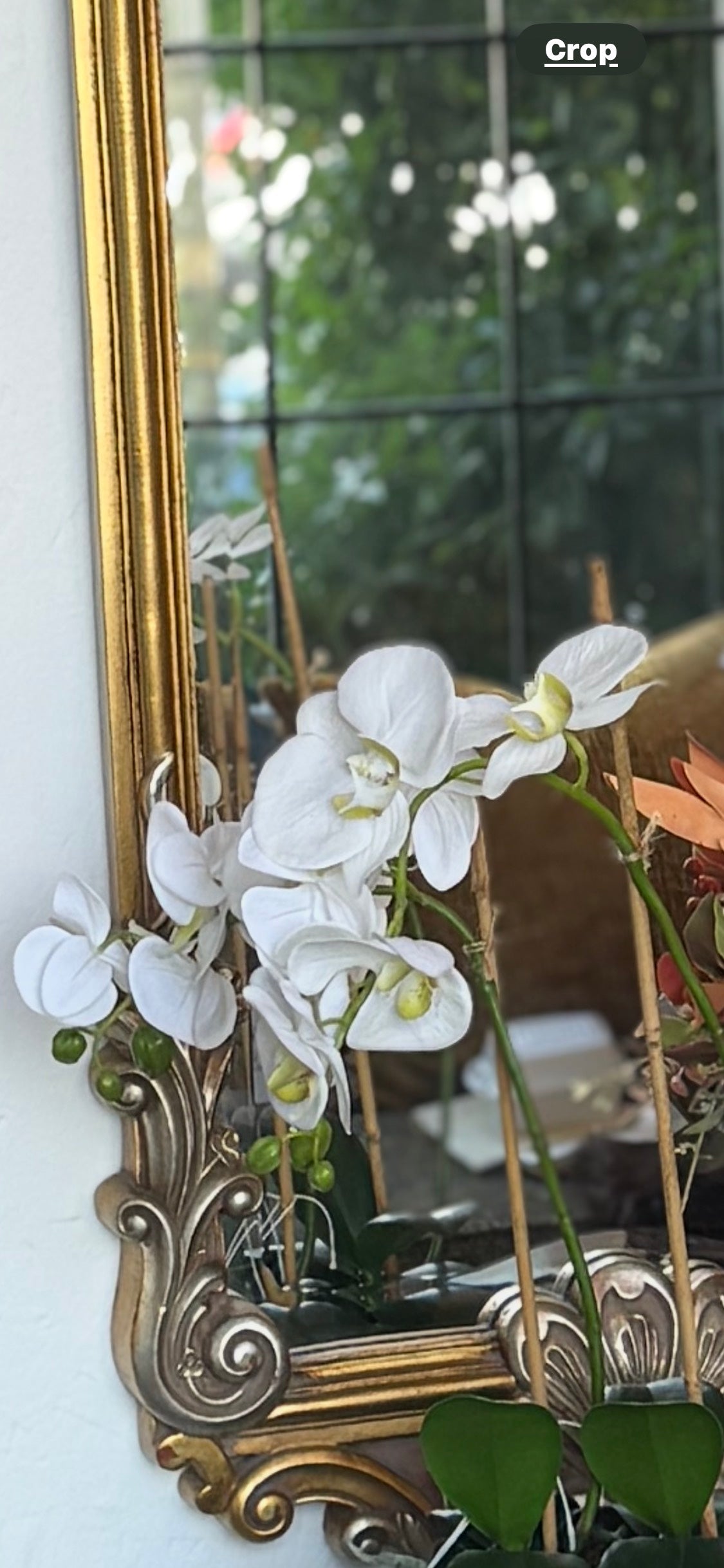 Ornate Long Mirror