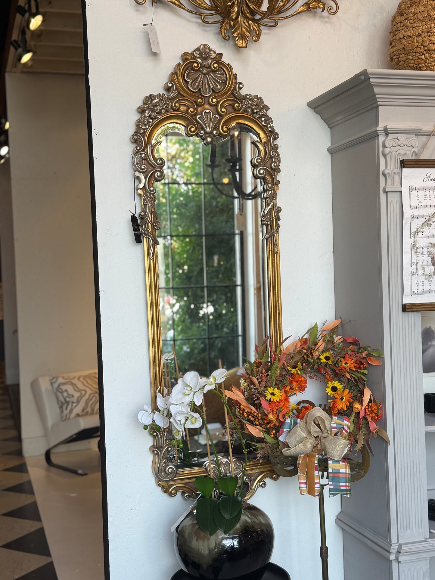 Ornate Long Mirror
