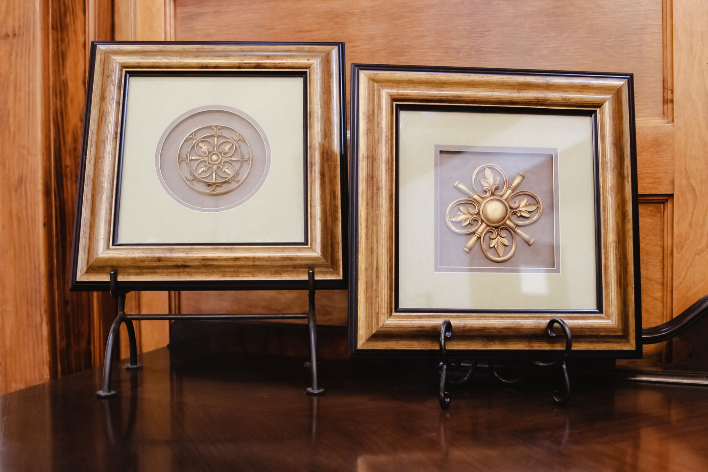 Medallions in Bronze Frame